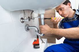 Best Trenchless Pipe Repair  in Cary, IL